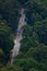 Bird\\\'s-eye or drone view of a road illuminated by the evening sunlight surrounded by a lush green forest.