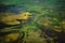 Bird`s-eye shot of a swampy area covered in green trees and green vegetation in Pucallpa, Peru