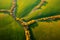 Bird\\\'s eye view of abstraction agricultural area and green wavy fields in sunny day