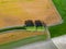 Bird's eye view of abstraction agricultural area and green wavy fields in sunny day. Aerial photography, top view