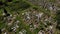 Bird\'s eye view of cemetery, burial place. Religion and traditions. Aerial drone 4k