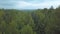 Bird\'s-eye view. Clip.Big tall firs and deciduous trees and blue sky overhead