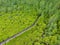 Bird`s Eye View by Drone of Vibrant Green Indian Mangrove Forest with a Long Wooden boardwalk in Rayong province of Thailand
