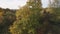 A bird's eye view of a quadcopter over a wooded area at sunset.