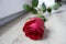 A bird\\\'s-eye view of a red rose in a vase on the wood-grain floor shows the perfect beauty of the green leafy branches.