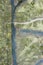 Bird`s eye view to river in swamp landscape with trail path crossing