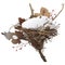 Bird\'s Nest