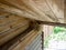 A bird`s nest with five nestlings with open beaks, nest placed in a wooden shed