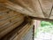 A bird`s nest with four nestlings with open beaks, nest placed in a wooden shed