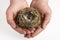 Bird\'s nest in the hands of a child
