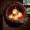 Bird\\\'s nest, nestegg of lightbulbs, showing storage and protection of ideas and creativity