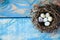 A bird`s nest with quail eggs inside on a worn blue wooden background. flat layout with space for text