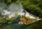 Bird`s Nest Terrace geyser in Waimangu, New Zealand