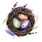 Bird`s nest with twigs eggs, lavender flowers, feather leaves. Watercolor Easter illustration