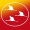 Bird Sarus Crane Stork Logo Banner Background Image