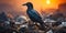 Bird scavenging for food among trash in urban landfill environmental impact. Concept Bird scavenging, Urban landfill,