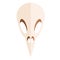 Bird scull flat illustration