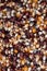 Bird seed background