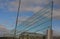 bird, sefety, soundproof wall of blue glass on a highway bridge