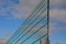 bird, sefety, soundproof wall of blue glass on a highway bridge