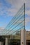 bird, sefety, soundproof wall of blue glass on a highway bridge