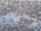 Bird shape frost ice crystals formations on a window glass. Frostwork pattern on morning light pink sunny sky background