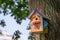 Bird Shelter in the Wood