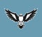 Bird silhouette. Shrike bird with spread wings