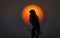 Bird Silhouette and Sunset