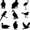 Bird silhouettes
