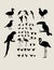 Bird Silhouettes Collection