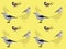 Bird Siskin Chickadee Nutcracker Cute Cartoon Poses Seamless Wallpaper Background