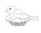 Bird sits on a nest - vector linear picture for coloring. A small bird - a sparrow hatches eggs in a cozy nest. Outline