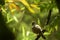 bird sitting on branch 