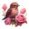 Bird sitting on a branch of a rose bush