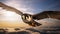 Bird soaring through sky. Suitable for nature and wildlife-themed projects