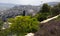 A bird soars above a view of Haifa with gardens in the foreground