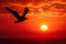 A bird soars through the sky, gracefully flying in front of a vivid and colorful sunset, A lone bird silhouette flying across the