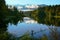 Bird spreading wings at Lake Matheson, reflection in water, New Zealand