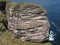 Bird stack west coast Scotland