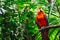 a bird is standing on a branch in the jungle with green leaves