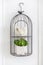 Bird statue and small artificial plant in cage hanging on white