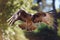 bird swooping down, wings outstretched towards the lens