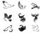 Bird symbols