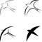 Bird symbols