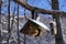 Bird table covered with snow hanging on a tree