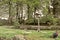 A bird table in front of large garden pond surrounded by tree`s and shrub`s with a blue sky and clouds backround taken in Wales