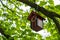 A bird table hanging from a branch with the colors of the football club FCN from Nuremberg