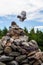 Bird Takes Flight off Rock Cairn