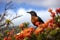 A bird takes a moment to admire its surroundings